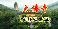 大鸡巴肏淫荡欧美淫荡骚骚逼中国浙江-新昌大佛寺旅游风景区